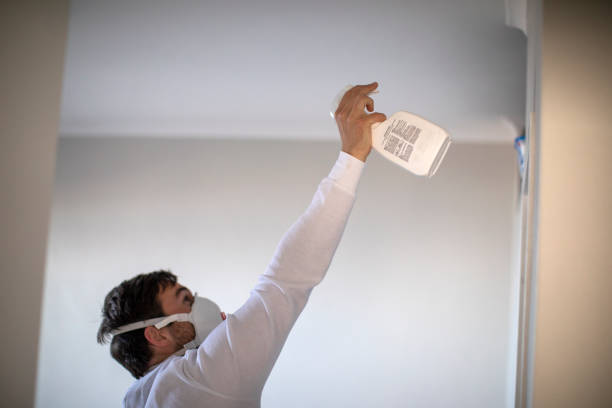 Best Water Damage Restoration  in Evergreen Park, IL